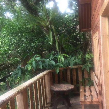 Villa Ecoturistica La Huerta De 希利特拉 外观 照片